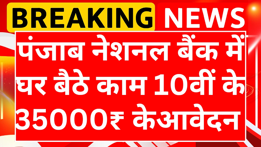 PNB Bank Work from home jobs 2025